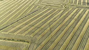 Agricultural Landscapes Prints: Default