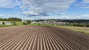German Farmland Landscape Prints: Default