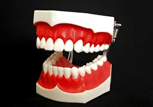 Oral Hygiene Symbol Prints: Denture model