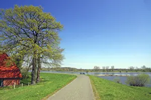 German Countryside Landscape Shot Prints: Deserted cycle path on the dyke