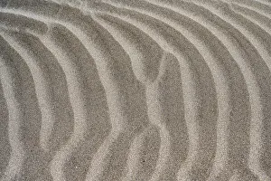 Canary Islands Beach Prints: Details and structures, Dune landscape