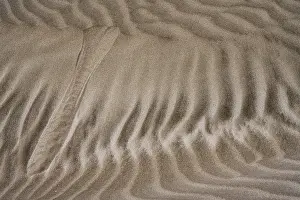 Canary Islands Beach Prints: Details and structures, Dune landscape