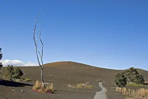 Natural Preserve America Prints: Devastation Trail through lava landscape