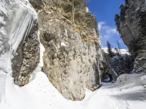 Deserted Gorge In Austria Prints: Devil's Gorge in winter, Johnsbach