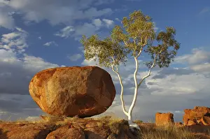 Northern Territory Australia Prints: The Devils Marbles (Karlu Karlu)