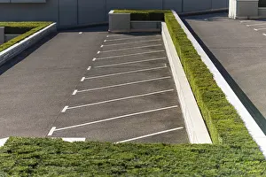 Boxwood Decoration Prints: Diagonal parking pattern on a parking space
