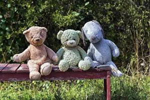 Gotland Island Photography Prints: Three different coloured stuffed animals