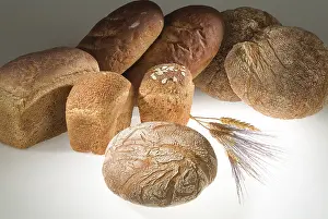 White Bread Photography Prints: Different kinds of bread on a studio background