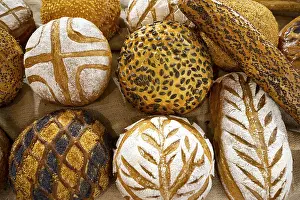 Bread Photography Prints: Different kinds of breads seen from above
