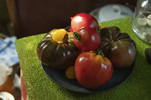 Close Up Tomatoes Prints: Different tomatoes ceramic plate on the kitchen table