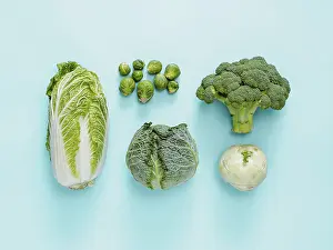 Brussels Sprouts Nutrition Prints: Different types of cabbage - broccoli