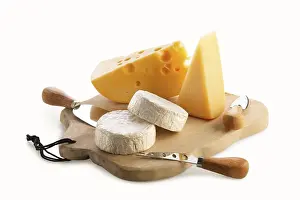 Organic Dairy Products Prints: Different types of cheeses, brie