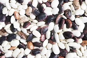Dried Beans Prints: Different types of dried beans