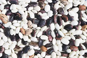 Dried Beans Prints: Different types of dried beans