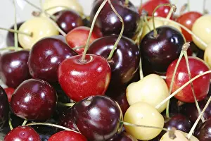 Colorful Fruit Mix Prints: Diffrent cherry types, colorful cherry mix