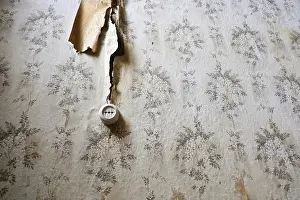 Deserted Power Supply Prints: Dilapidated wall of wallpaper with floral pattern and old electrical socket