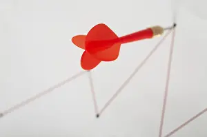 Direct Hit Prints: Direct hit