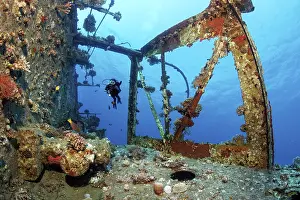 Red Sea Egypt Prints: Diver, diver, looking at deck superstructure) on wreck