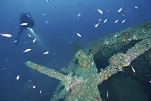 Scuba Diving Adventure Prints: A diver with flashlight explores a shipwreck