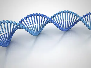 DNA Prints: DNA Molecular Structure Print