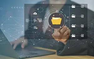 Document Management System Prints: Document Management System (DMS)