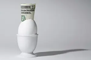 Empty Banknote Scene Prints: The bill of Ten Dollar in the Egg