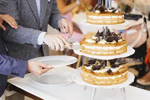 Traditional Wedding Ceremony Prints: Detail of the dolls on top of the wedding cake
