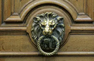 Decorative Door Fitting Prints: Door knocker