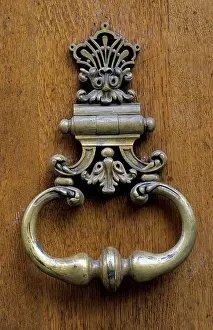 Embellished Front Doors Prints: Door knocker