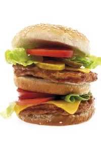 Studio Background Cuisine Prints: Double cheeseburger with lettuce