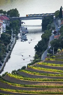Wine Growing Region Prints: Douro Valley, Train and Douro River