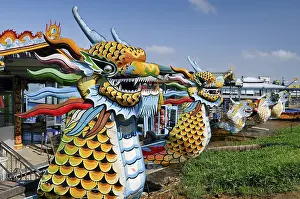 Southeast Asia Boats Prints: Dragon head and excursion boat