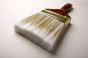 Deserted Plant Scene Prints: Dramatic angle of paint brush, focus is on the bristles