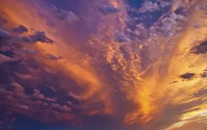 Dramatic Evening Sky Prints: Dramatic, atmospheric cirrocumulus (Cirrocumulus) at sunset