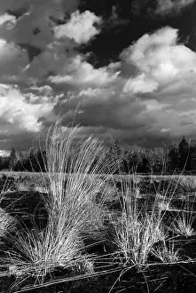 Overcast Cloudy Skies Europe Prints: Dramatic clouds forming over a former peat bog
