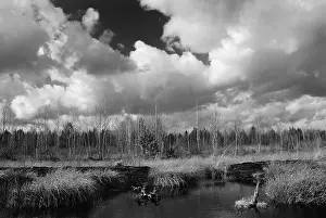 Cloudy Atmospheric Mood Prints: Dramatic clouds forming over a former peat bog
