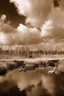 Cloud Formations Germany Prints: Dramatic clouds forming over a former peat bog