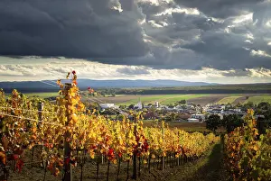 Prints of Dramatic clouds over village of Raiding, birthplace to franz liszt, burgenland with autumn vineyard Franz Liszt Prints: Dramatic Clouds over Raiding Village Print