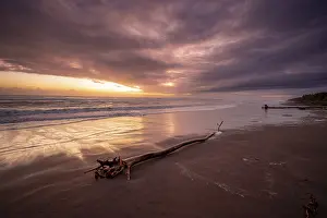 Deserted Sandy Beach Scene Prints: Dramatic cloudy sky at sunset, tree trunk on the beach