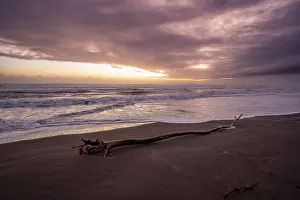 Deserted Beach Evening Sun Prints: Dramatic cloudy sky at sunset, tree trunk on the beach