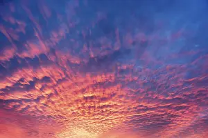 Dramatic Evening Sky Prints: Dramatic evening sky with red clouds after sunset
