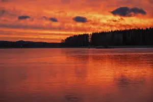 Evening Forest Scene Prints: A dramatic sunset over a still