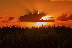 Atmospheric Light Effects Prints: Dramatic sunset behind clouds, Chebel