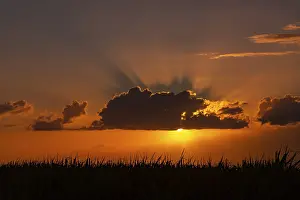 African Desert Landscapes Prints: Dramatic sunset behind clouds at Chebel