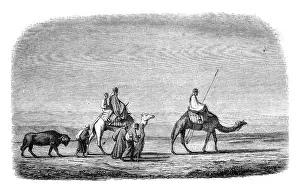 Empty Uninhabited Scene Prints: Drawing by Marilhat, for after his chart sets