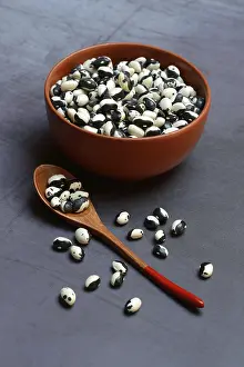 Dried Beans Prints: Dried beans in shell with spoon