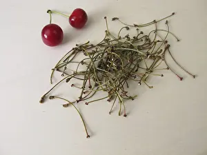 Alternative Medicine Herbs Prints: Dried cherry stems