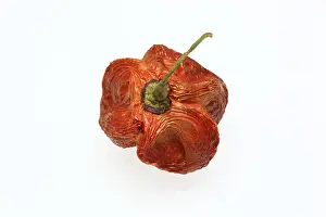 Uninhabited Landscapes Prints: Dried chilli fruit