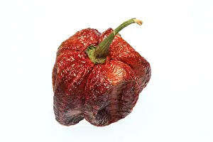 Dried Chilli Fruit Prints: Dried chilli fruit