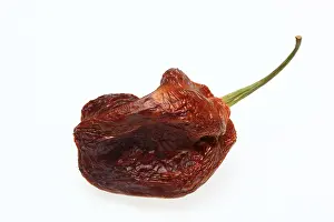Dried Chilli Fruit Prints: Dried chilli fruit